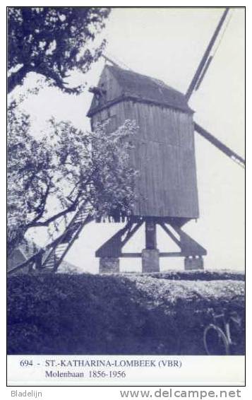 SINT-KATHARINA-LOMBEEK Bij Ternat (Vlaams-Brabant) - Molen/moulin - Blauwe Prentkaart Ons Molenheem Van De Windmolen - Ternat