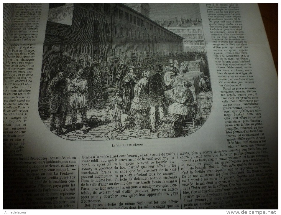 1851 L'ILLUSTRATION :Marché aux CHIENS et OISEAUX; Moeurs lyonnaise ,Soieries; Calendrier mouvant CUSSON; Dunkerque, etc