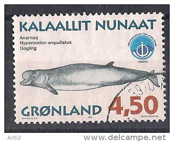 Greenland 1998 Greenland Whales (III); International Year Of The Ocean, Northern Bottlenose Whale, Mi 319, Cancelled(o) - Gebruikt