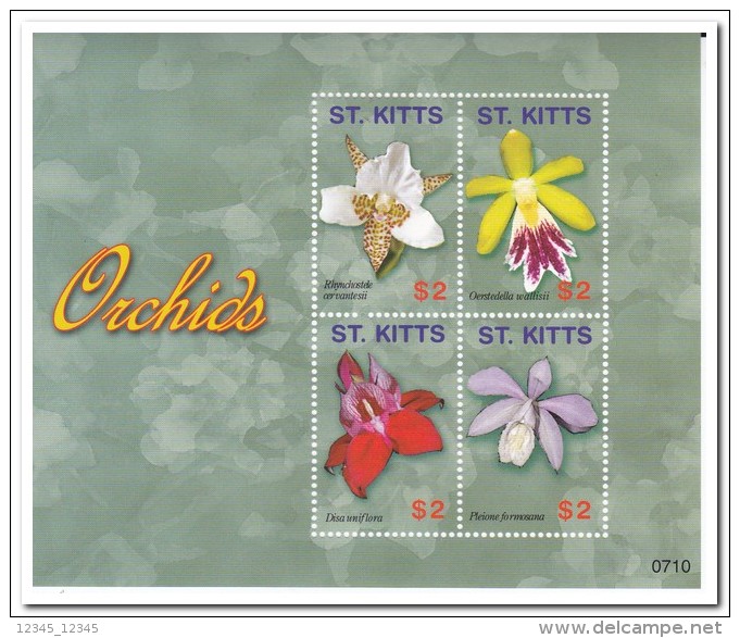 St. Kitts 2007, Postfris MNH, Flowers, Orchids - St.Kitts En Nevis ( 1983-...)