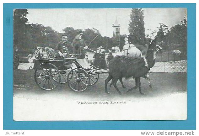 CPA Attelage Voitures Aux Lamas - Calèche Singe - Publicité Au Dos PARIS - - Parks, Gardens