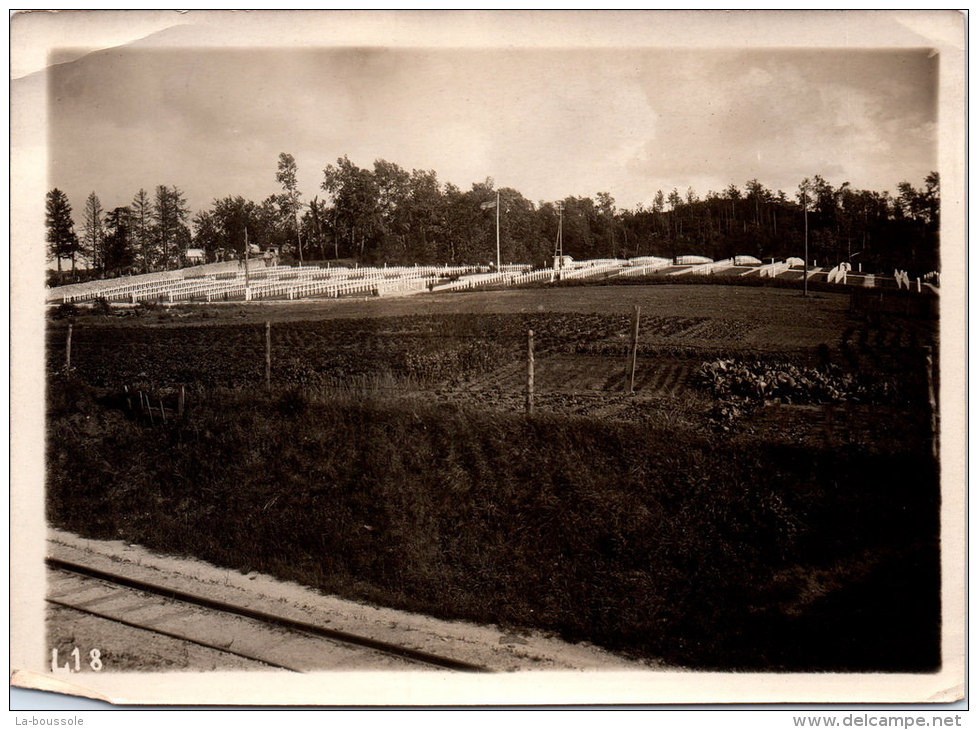 Photographie Originale - Vue D'un Cimetière (non Localisé) - Guerre, Militaire