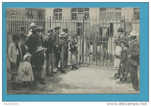 CPA 12 - Eléphant De L'Inde Au Jardin Des Plantes PARIS Vème - Paris (05)