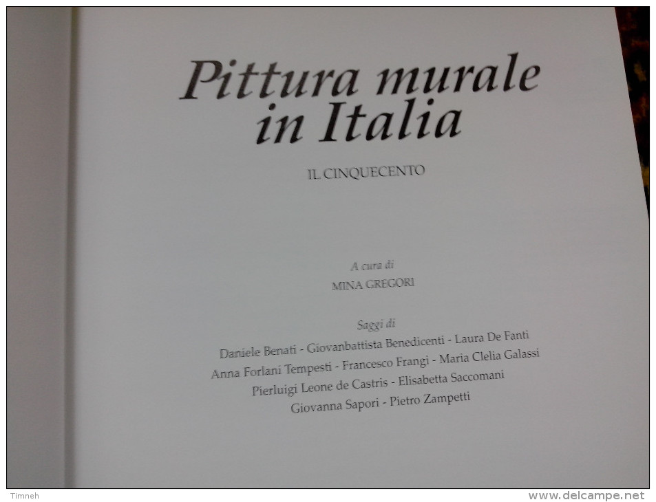 PITTURA MURALE IN ITALIA IL CINQUECENTO 1997 Gruppo San Paolo - Lotti E Collezioni