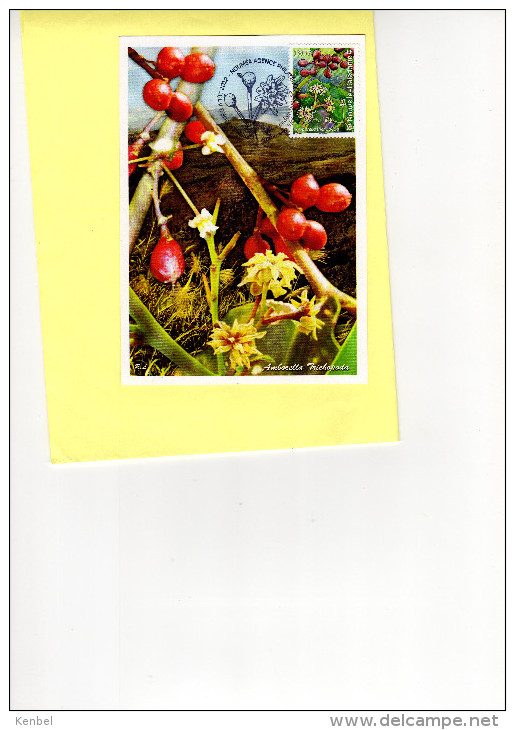 Fleurs Endémique  De Nouvelle-calédonie 2012. Carte Maximum. 1er Jour. Amborella Trichopoda - Sonstige & Ohne Zuordnung