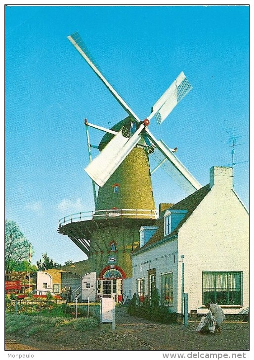 Pays-Bas. CPM. Zeeland. Sluis. Moulin (Molen) (animée) - Sluis