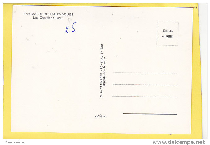 CPSM  -  Paysage Du  Haut Doubs -  Les Chardons Bleus   -  Photo Stainacre Pontarlier - Autres & Non Classés