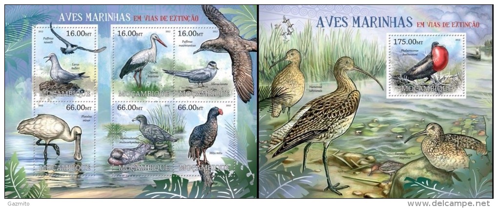 Mozambico 2012, Water Birds, 6val In BF +BF - Albatros & Stormvogels