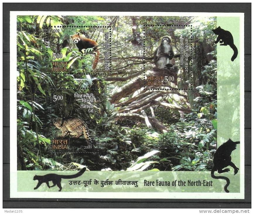 INDIA, 2009, Rare Fauna Set Of North East India,Miniature Sheet, Cat, Panda, Monkey, Animal, MNH,(**) - Nuevos