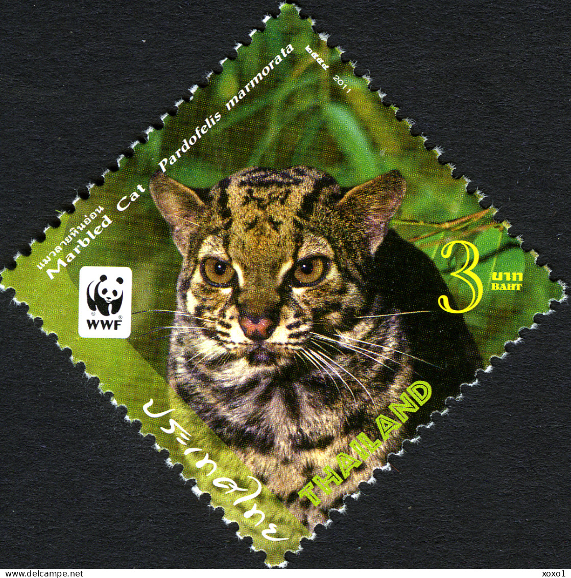 Thailand 2011 MiNr. 3117 - 3120 (Block 267) Animals WWF Cats Of PREY 4v+1 MNH** 5,00 € - Unused Stamps