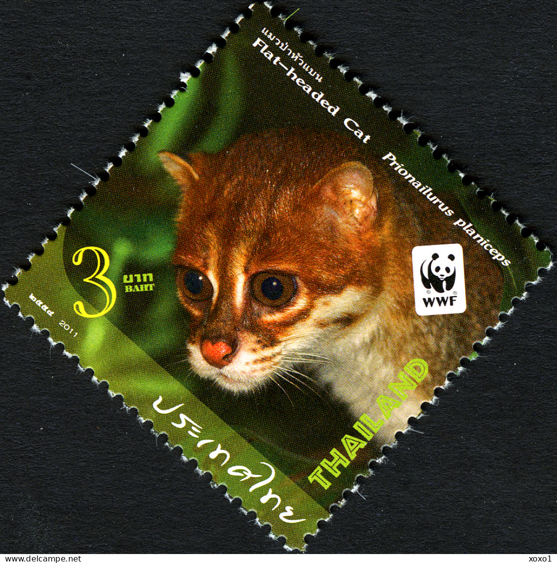 Thailand 2011 MiNr. 3117 - 3120 (Block 267) Animals WWF Cats Of PREY 4v+1 MNH** 5,00 € - Unused Stamps