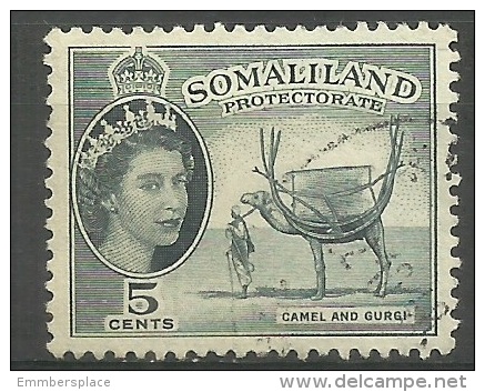 Somaliland Prot. - 1953 QEII Camel & Gurgi 5c Used     Sc 128 - Somaliland (Herrschaft ...-1959)