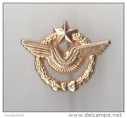 INSIGNE MINIATURE BREVET PILOTE ARMEE DE L' AIR, PIN' S - Fabricant PICHARD - Armée De L'air