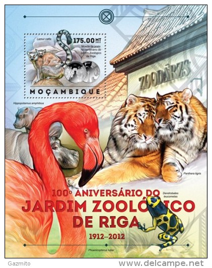 Mozambico 2012, Riga Zoo, Tiger, Frog, Flamingo, Hippoes, Monkeys, BF - Flamants