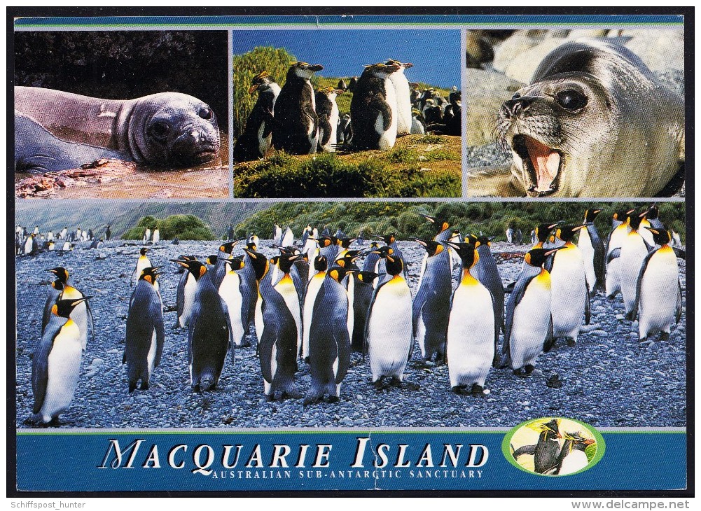 ANTARCTIC, AAT, MACQUARIE, 8.DEC 2000, Color-card  + 2 Cachets+sign , Look Scan !! 18.11-03 - Antarctische Expedities