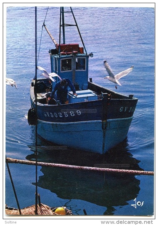 La Pêche En Bretagne - Le Retour Du Palangrier - Le Guilvinec - écrite Et Timbrée - 2 Scans - Guilvinec