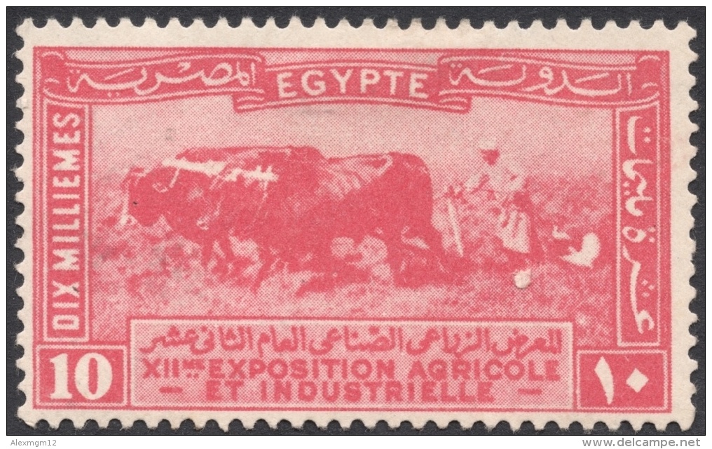 Egypt, 10 M. 1926, Sc # 109, MH. - Ongebruikt