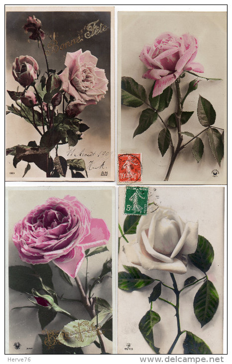 LOT 6 CPA - Fleurs - Rose - Fleurs