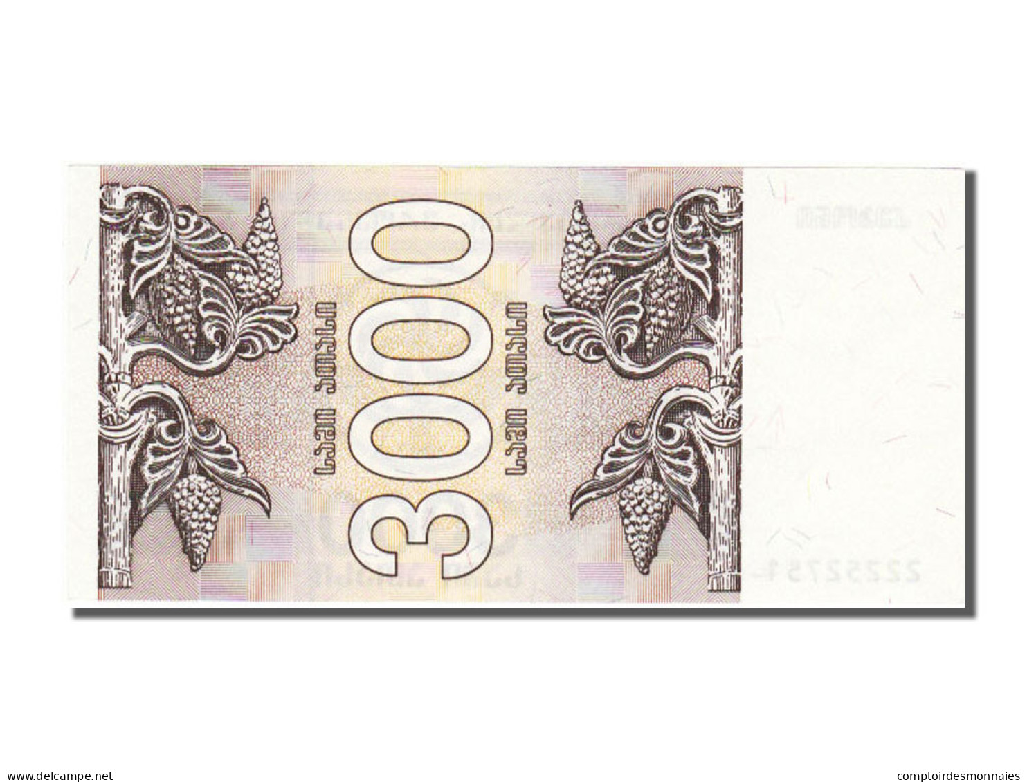 Billet, Géorgie, 3000 (Laris), 1993, NEUF - Géorgie