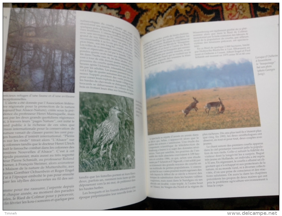 L ALSACE AU COEUR L.-P.  LUTTEN EDITIONS COPRUR 1994 Préface Oberlé LACS TRADITIONS NATURE CHÂTEAUX HOMMES TRESORS CITES - Alsace