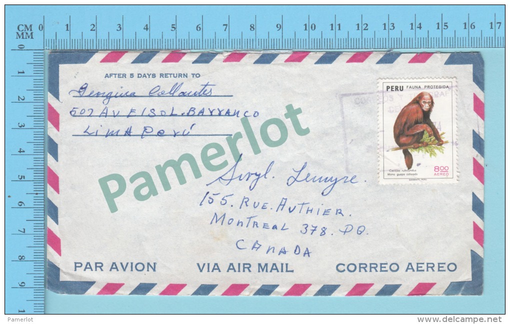 Peru Aerogram ( Mi-976 From Lima Peru To Montreal Canada  )  2 Scans - Pérou