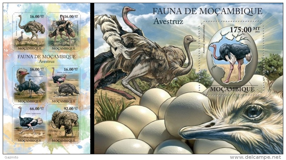 Mozambico 2011, Animals, Ostrich, 6val In BF +BF - Straussen- Und Laufvögel