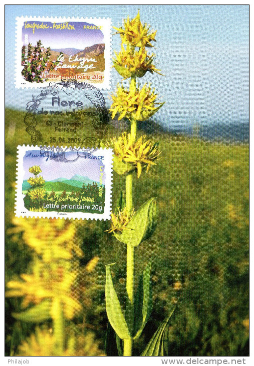 6 Cartes Maximum De 2009 " FLORE DES REGIONS DU SUD ". N° YT Autoadhésifs N° 303 à 314. Parfait état. CM - Otros & Sin Clasificación