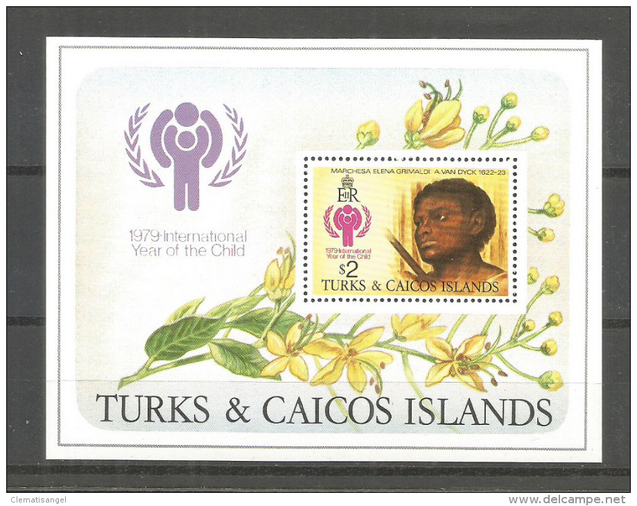 566 * TURKS & CAICOS ISLANDS * BLOCK JAHR DES KINDES * UNGEBRAUCHT ** !! - Turcas Y Caicos