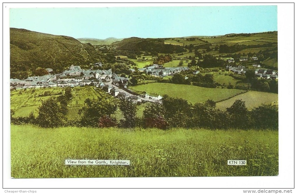 Knighton - View From The Garth - Radnorshire