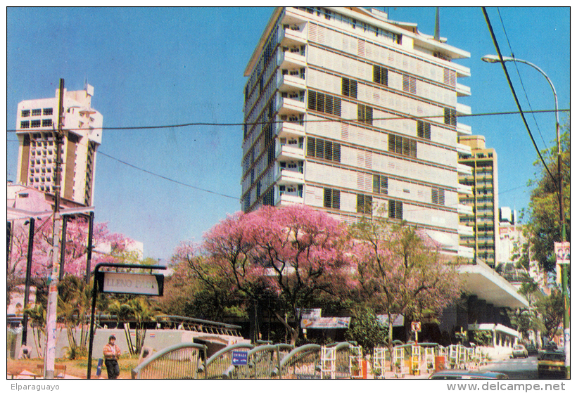 POSTAL HOTEL GUARANI CON LAPACHOS ASUNCION PARAGUAY - Paraguay