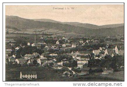 &#9619;&#9618;&#9617; Zwiesel Kr Regen (Bayerischer Wald Niederbayern) S/w Ak 1908 &#9617;&#9618;&#9619; - Zwiesel