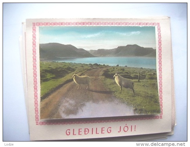 IJsland Iceland Island Gledileg Jol Sheep - IJsland