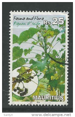 Mauritius, Yv 1180  Jaar 2014,  Hoge Waarde,  Gestempeld, Zie Scan - Maurice (1968-...)