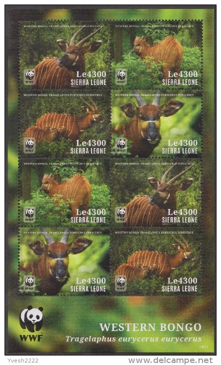 Sierra Leone 2014 Michel 5854 à 5857 En Feuillet. Protection De La Nature. Le Bongo, Antilope. Tragelaphus Eurycerus - Unused Stamps