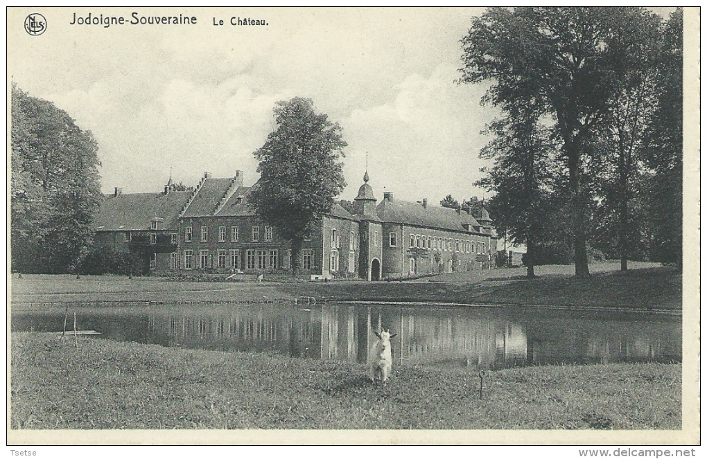 Jodoigne-Souveraine - Château  ( Voir Verso ) - Jodoigne