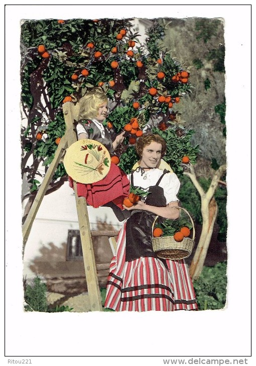 06 - COTE D´AZUR - Cueillette Des Oranges - Costume Du Pays - Femme Fillette Sur Escabeau Chapeau - Folklore - N°16 - Arbres