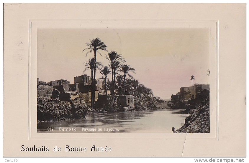 Egypte - Bonne Année Paysage Au Fayoum - Cachet Helouan 1907 - Fayyum