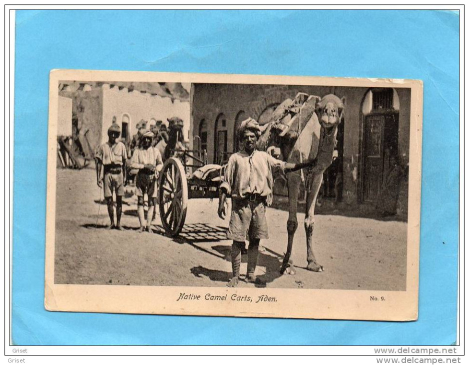 ADEN- Gros Plan D'un Attelage Charette Par Chameau Et Yéménites-native Camel Carts-années 1910+20- - Yemen