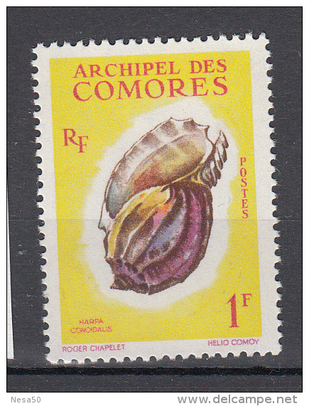 Comoren 1962 Mi Nr 43  Shell, Schelp - Unused Stamps