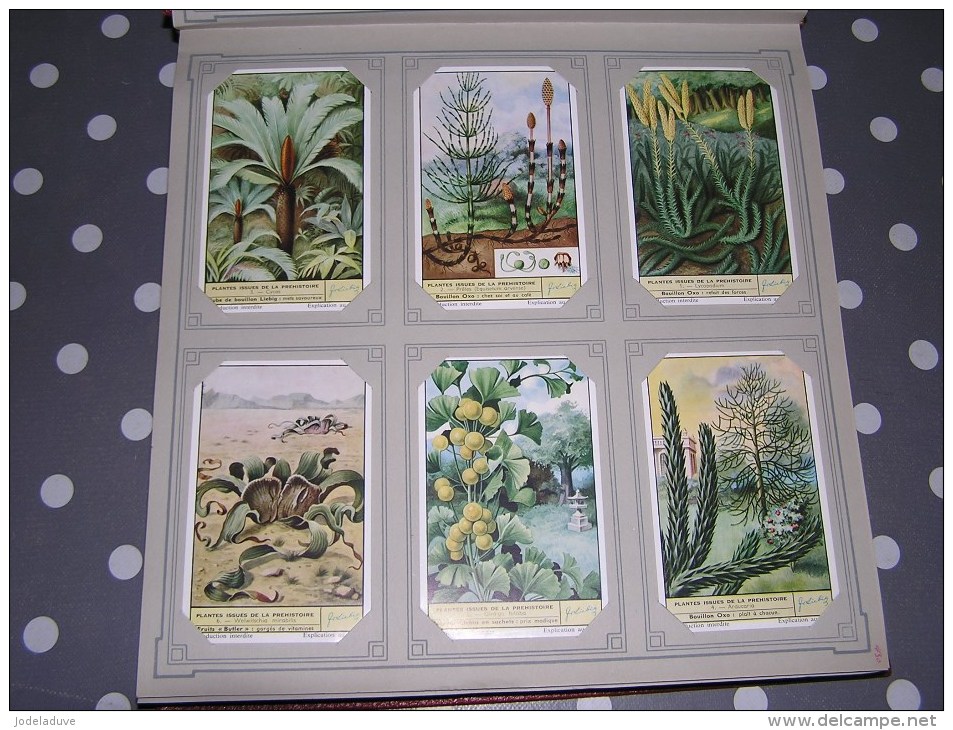 PLANTES ISSUES DE LA PREHISTOIRE  Série Complète De 6 Chromos Trading Cards Chromo - Liebig