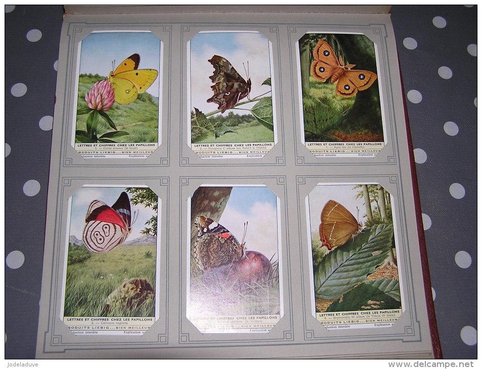 LETTRES ET CHIFFRES CHEZ LES PAPILLONS   Insectes  Série Complète De 6 Chromos Trading Cards Chromo - Liebig