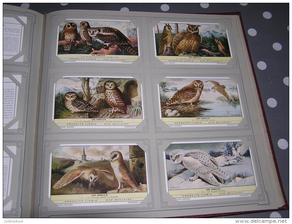 LES HIBOUS Oiseau Birds Oiseaux Chouette Chevêche Harfang   Série Complète De 6 Chromos Trading Cards Chromo - Liebig