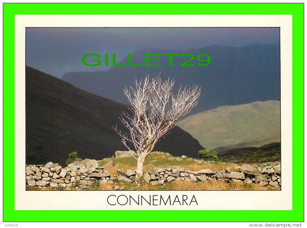 CONNEMARA, GALWAY, IRELAND - INSIGHT CARDS LIMITED - - Galway