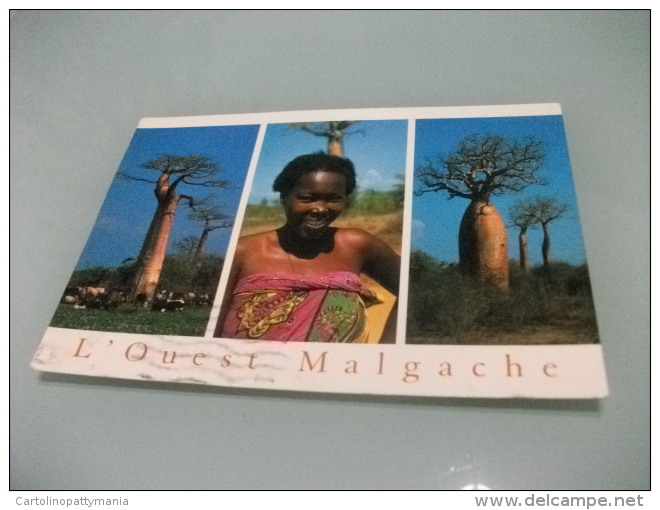 STORIA POSTALE FRANCOBOLLO COMMEMORATIVO INSETTO  MADAGASCAR TERRE DE SOURIRES LOUEST MALGACHE  DONNA ALBERI VEDUTINE - Madagascar