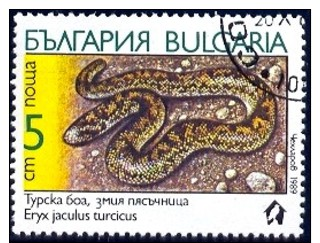 Snake, Turkish Javelin Sandboa (Eryx Jaculus Turcicus), Bulgaria Stamp SC#3491 Used - Malawi (1964-...)