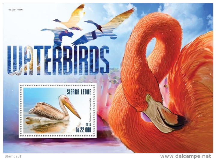 Sierra Leone. 2015 Waterbirds. (319b) - Flamants