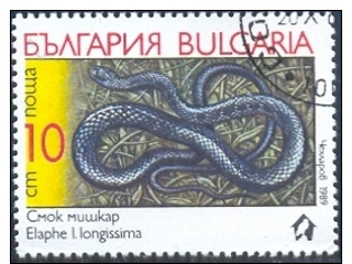 Aesculapian Snake (Elaphe Longissima), Bulgaria Stamp SC#3492 Used - Gebruikt
