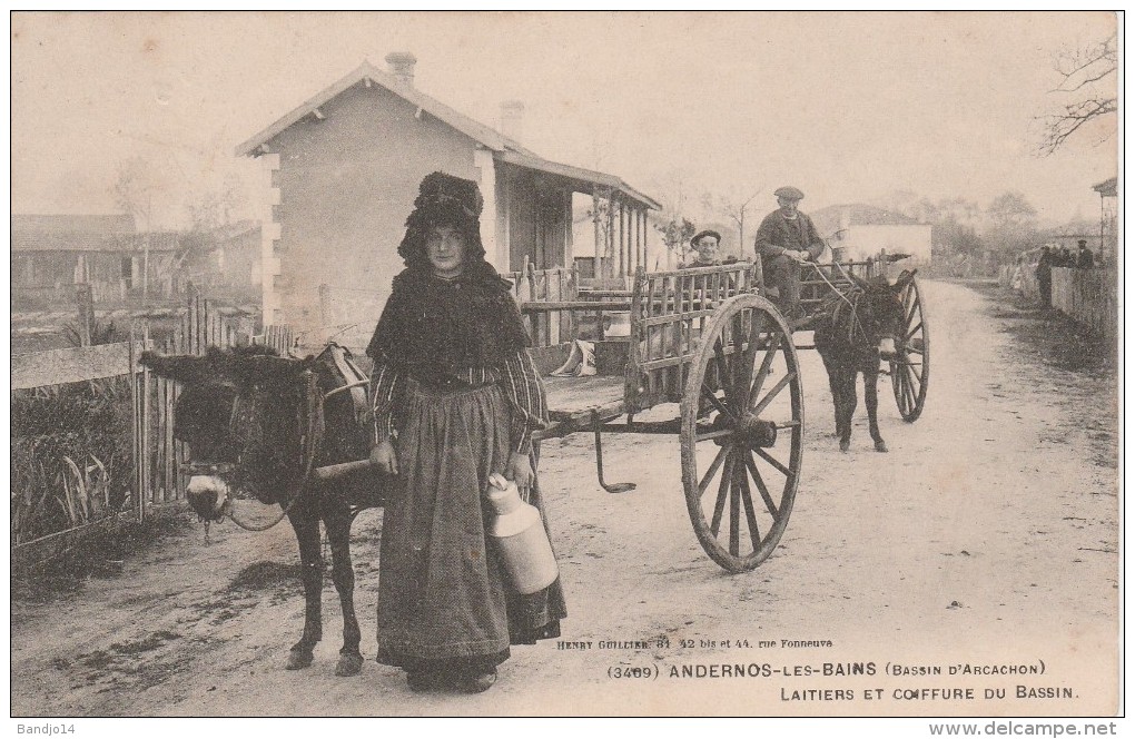 Andernos Les Bains - Laitiers Et Coiffure Du Bassin - Attelage ( Superbe Plan )- Scan Recto-verso - Andernos-les-Bains