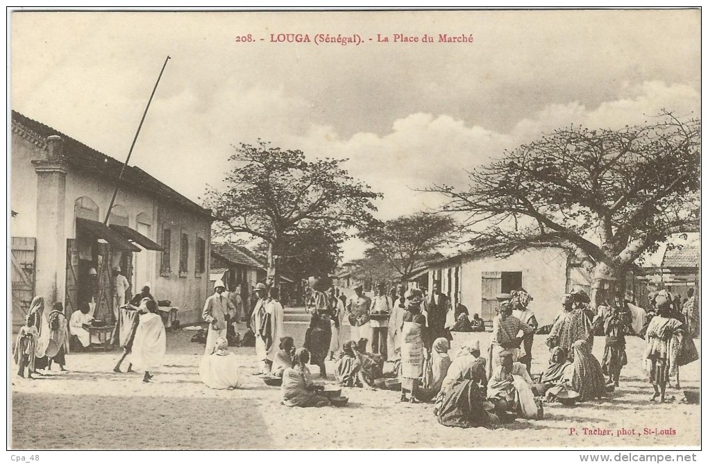 Afrique : Sénégal, Louga, La Place Du Marché, Belle Animation - Senegal