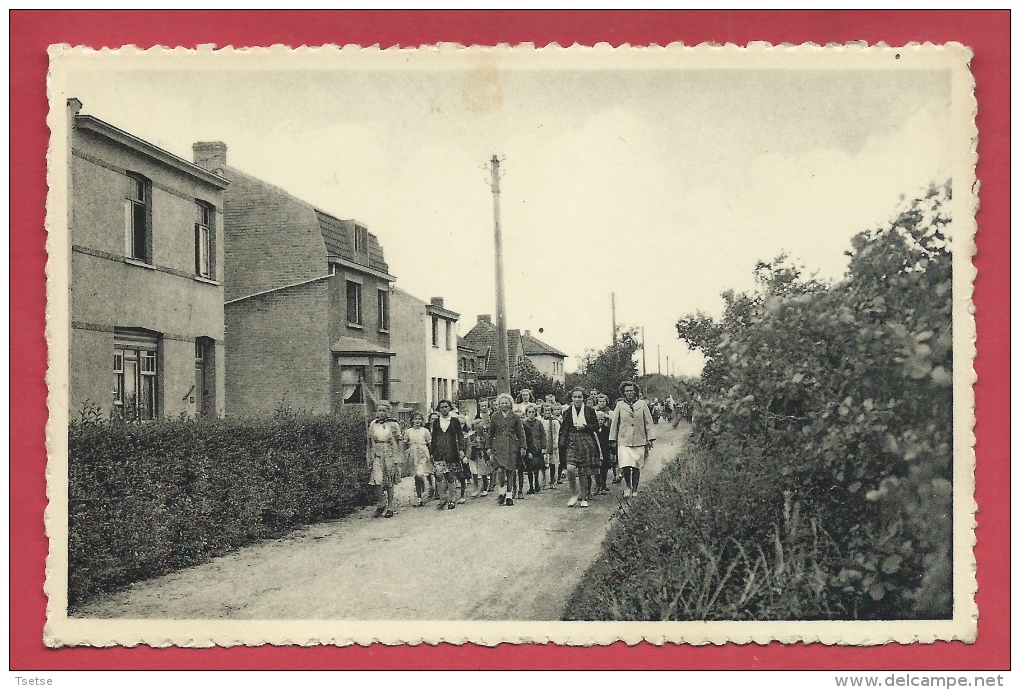 Westende - Basseveldstraat - Geanimeerd   ( Verso Zien ) - Westende